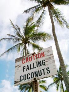 fallingcoconuts_sm
